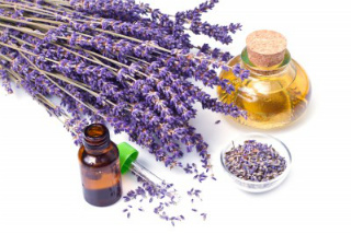 Lavender_Oil